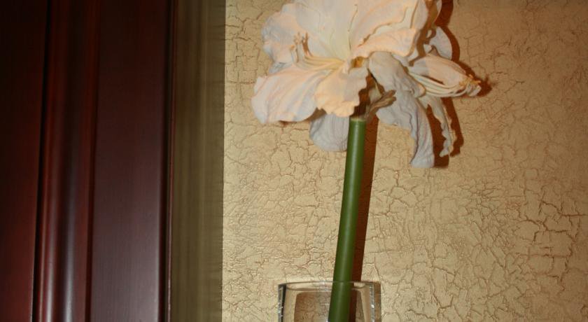 Гостиница Фаворит Томск