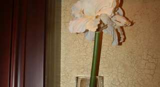 Гостиница Фаворит Томск Полулюкс-18